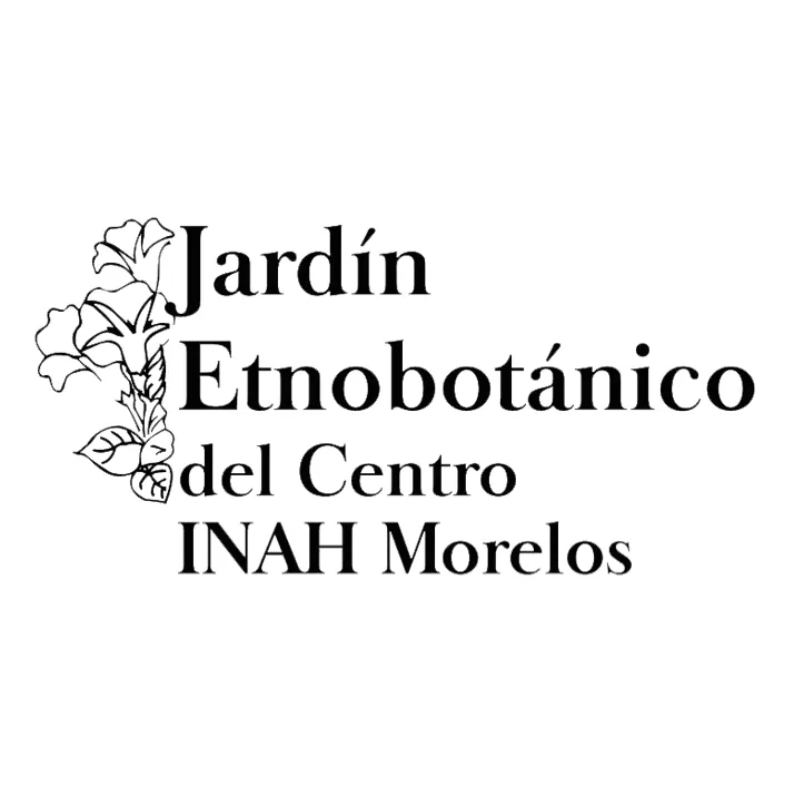 Jardín Etnobotánico y Museo de Medicina Tradicional
